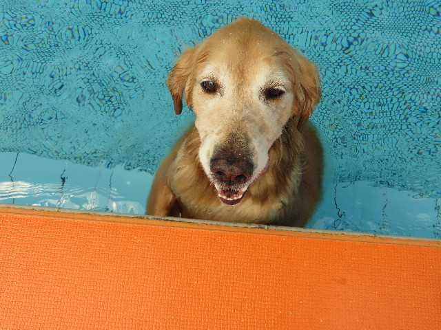 ファイル 3784-5.jpg