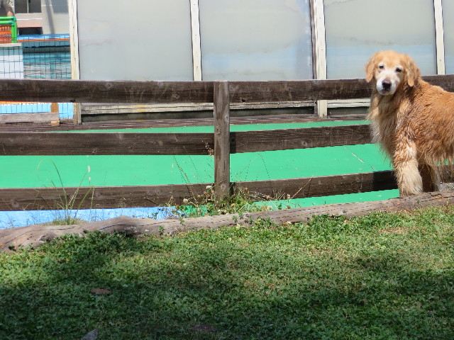 ファイル 3785-2.jpg