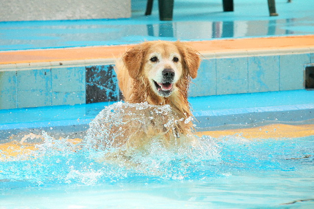 ファイル 3786-2.jpg