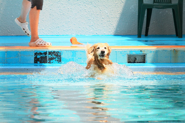 ファイル 3787-1.jpg