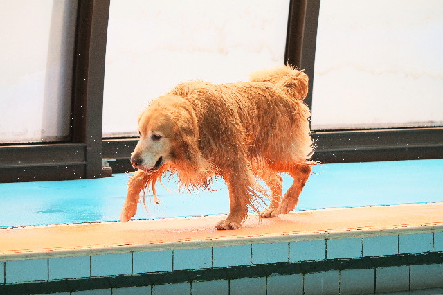 ファイル 3787-5.jpg