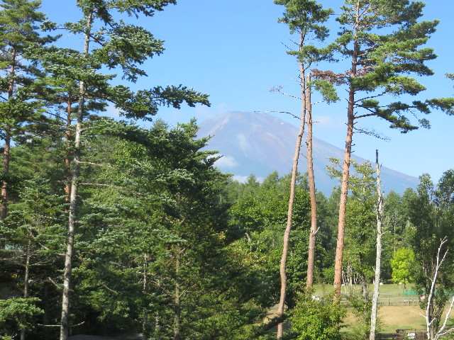 ファイル 3788-1.jpg