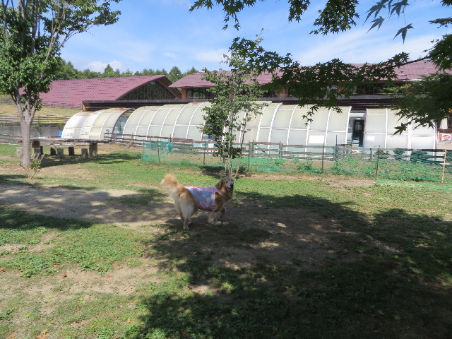 ファイル 3788-3.jpg