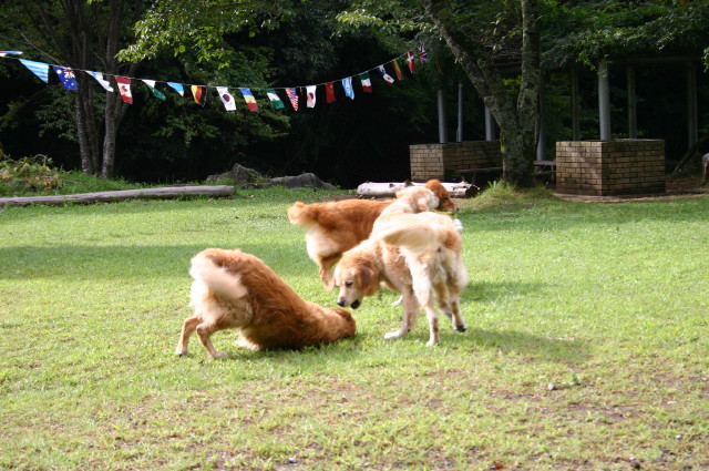 ファイル 379-1.jpg