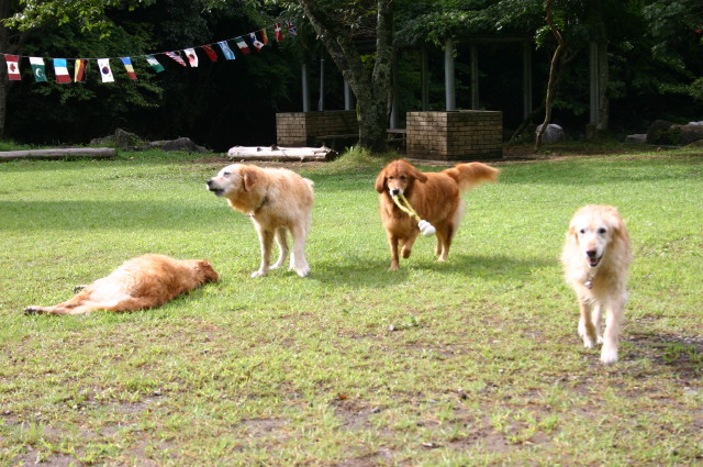 ファイル 379-2.jpg