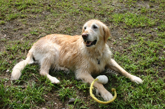 ファイル 379-3.jpg