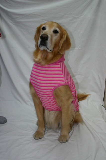 ファイル 379-4.jpg