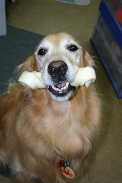 ファイル 379-5.jpg