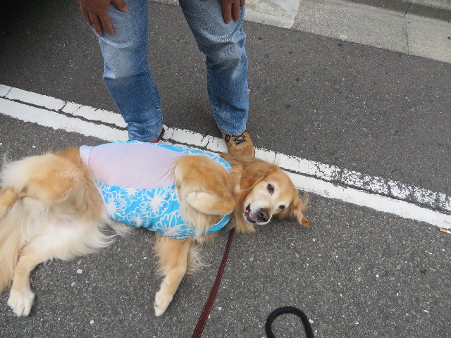 ファイル 3790-1.jpg