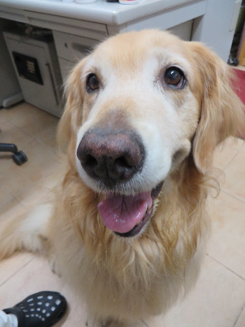 ファイル 3791-4.jpg