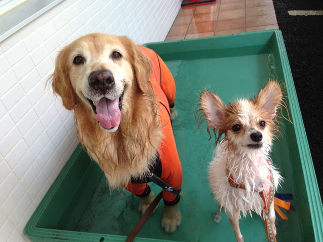 ファイル 3791-5.jpg