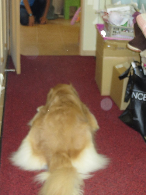 ファイル 3794-5.jpg