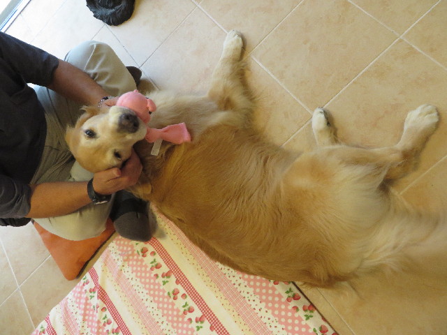 ファイル 3795-1.jpg