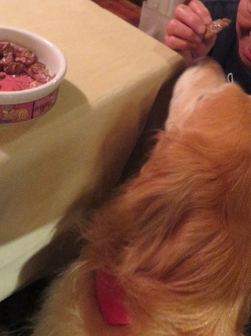 ファイル 3796-5.jpg