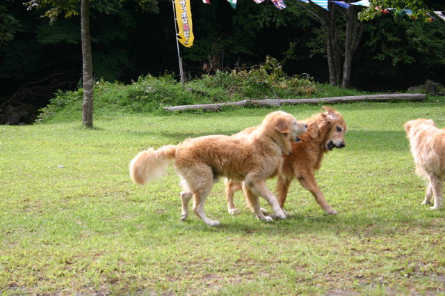 ファイル 380-3.jpg