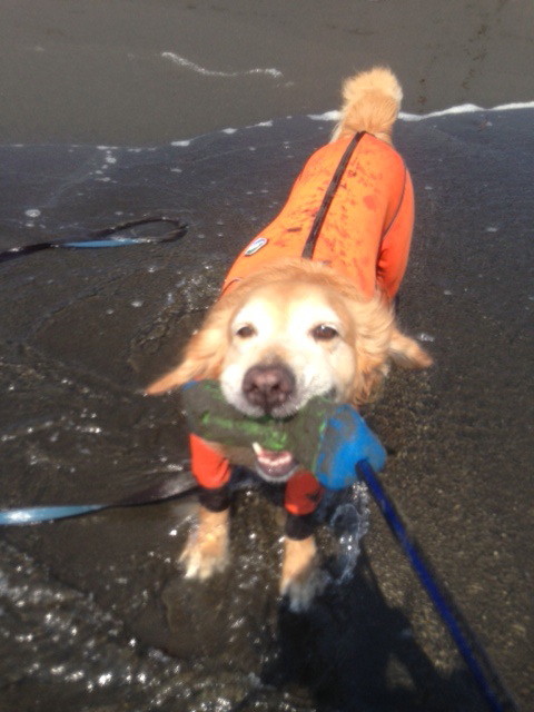 ファイル 3800-2.jpg