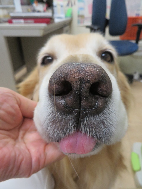 ファイル 3800-3.jpg