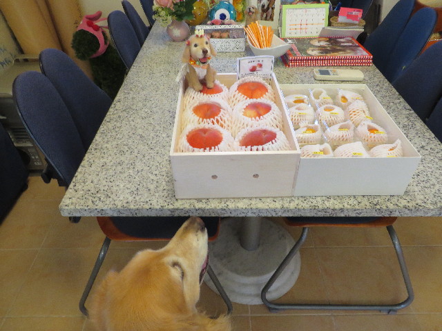 ファイル 3801-1.jpg