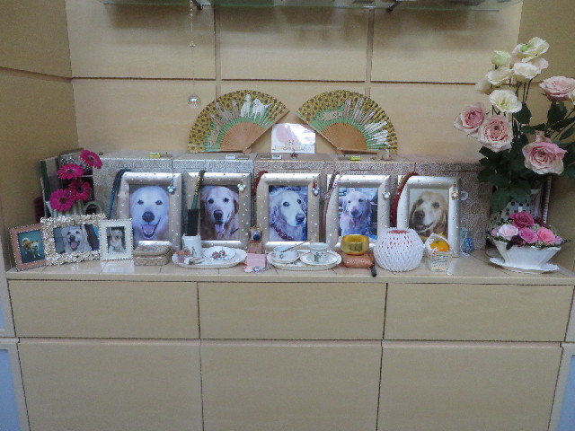 ファイル 3801-3.jpg