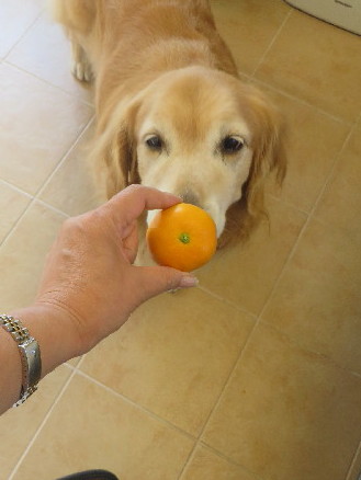 ファイル 3801-4.jpg