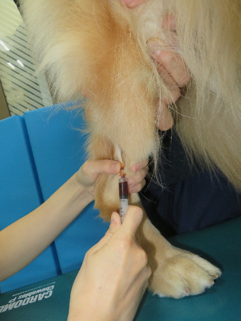 ファイル 3803-3.jpg