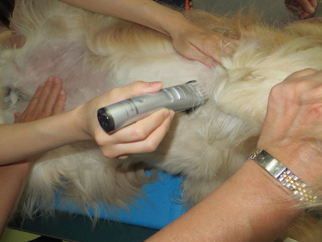 ファイル 3803-4.jpg