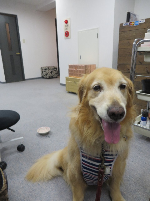 ファイル 3804-2.jpg