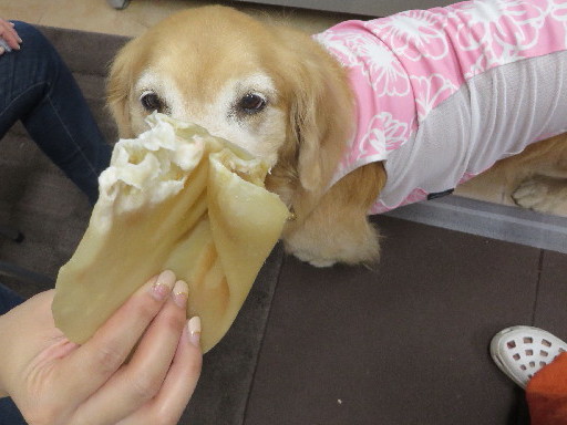 ファイル 3807-1.jpg