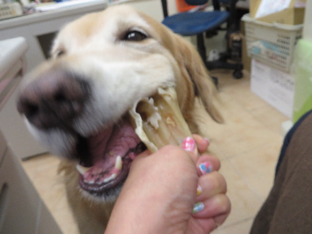 ファイル 3807-3.jpg