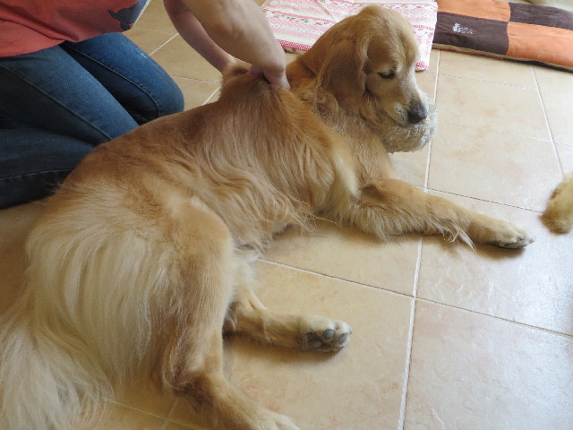 ファイル 3807-5.jpg