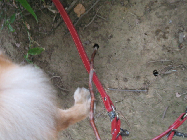 ファイル 381-1.jpg