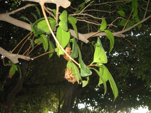 ファイル 381-4.jpg