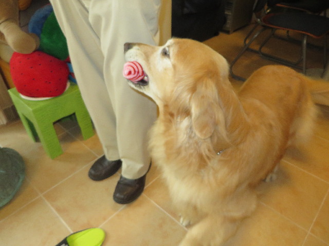 ファイル 3811-1.jpg