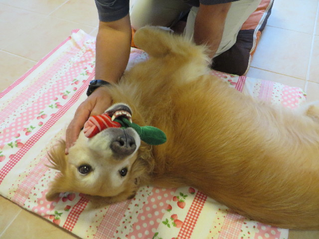 ファイル 3811-2.jpg