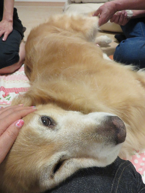 ファイル 3811-3.jpg