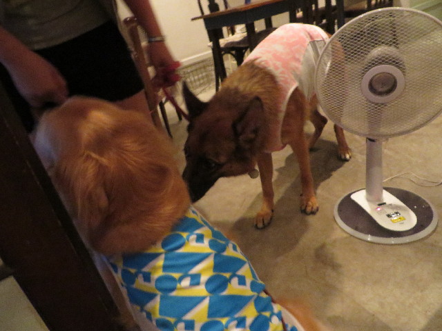 ファイル 3813-4.jpg