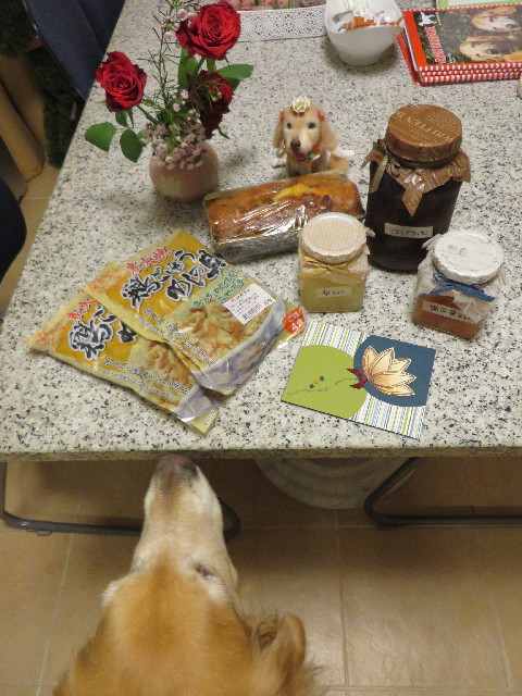 ファイル 3815-1.jpg