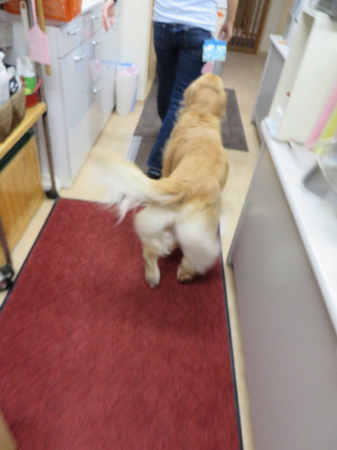 ファイル 3817-5.jpg