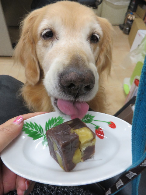 ファイル 3818-2.jpg