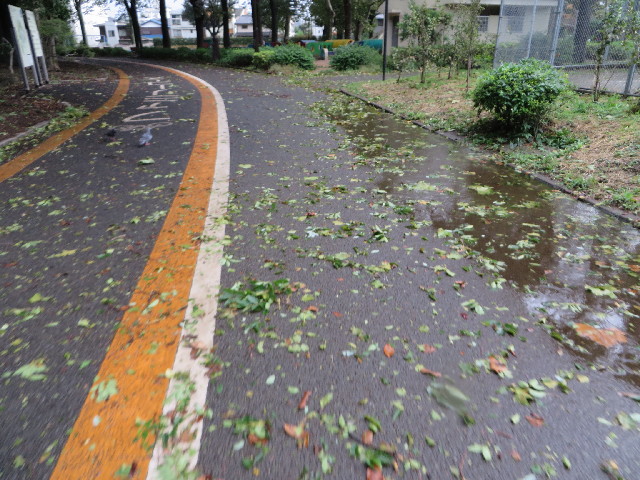 ファイル 3819-2.jpg