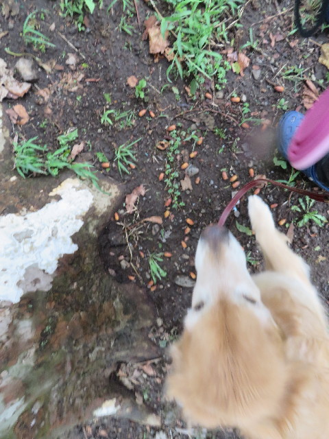 ファイル 3819-3.jpg