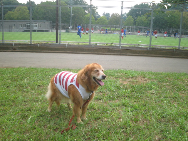 ファイル 382-3.jpg