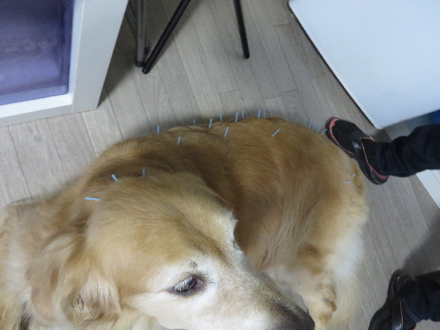 ファイル 3823-4.jpg