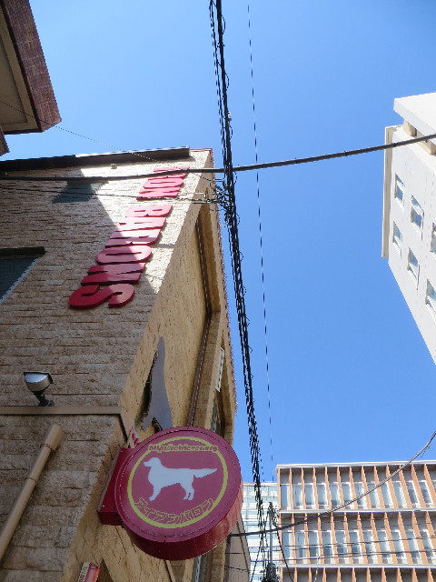 ファイル 3825-2.jpg