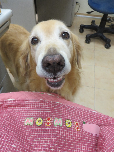 ファイル 3825-5.jpg