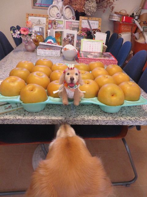 ファイル 3826-1.jpg