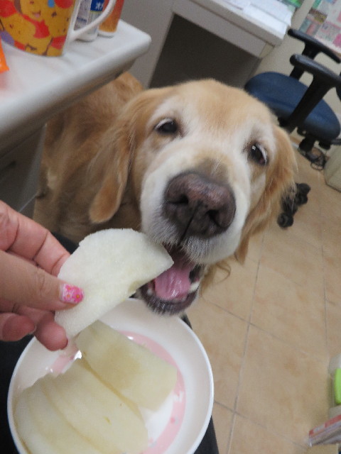 ファイル 3826-4.jpg