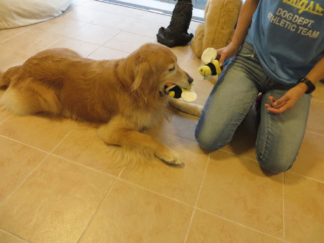 ファイル 3827-1.jpg