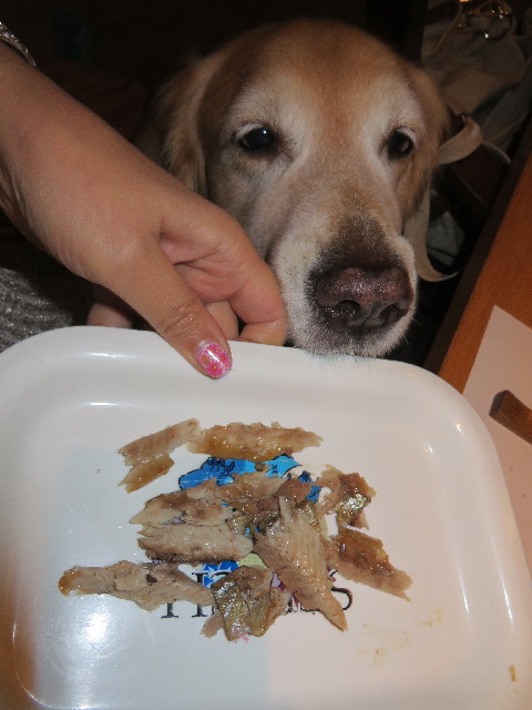 ファイル 3827-3.jpg