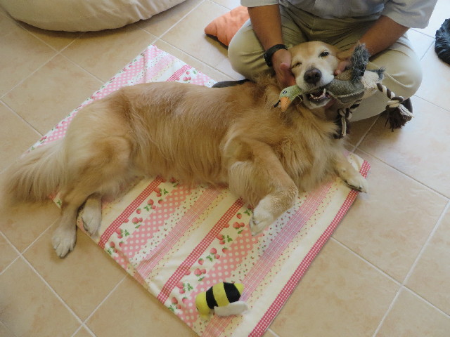 ファイル 3827-5.jpg